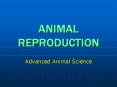 ANIMAL REPRODUCTION PowerPoint PPT Presentation