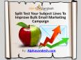 Split Test Your Subject Lines To Improve Bulk Email Marketing Campaign PowerPoint PPT Presentation