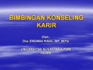 BIMBINGAN KONSELING KARIR