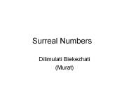 Surreal Numbers