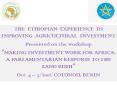 THE ETHIOPIAN EXPERIENCE IN INPROVING AGRICULTURAL INVESTMENT PowerPoint PPT Presentation