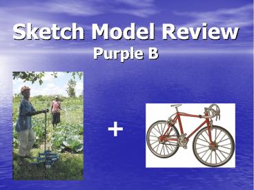 Sketch Model Review Purple B