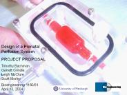 Design of a Prenatal Perfusion System