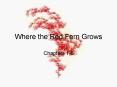 Where the Red Fern Grows PowerPoint PPT Presentation