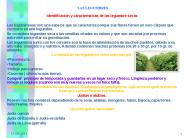 LAS LEGUMBRES