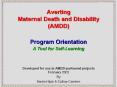 Averting Maternal Death and Disability (AMDD) PowerPoint PPT Presentation