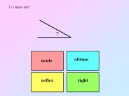 L.O angles quiz