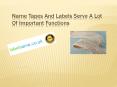 Name Tapes and Labels Serve a Lot of Important Functions PowerPoint PPT Presentation