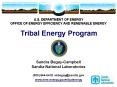 U.S. DEPARTMENT OF ENERGY OFFICE OF ENERGY EFFICIENCY AND RENEWABLE ENERGY  Tribal Energy Program PowerPoint PPT Presentation