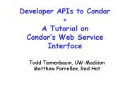 Developer APIs to Condor   A Tutorial on Condor