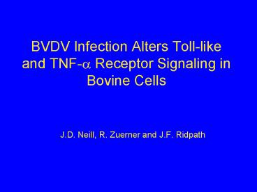 BVDV Infection Alters Toll-like and TNF-? Receptor Signaling in Bovine Cells