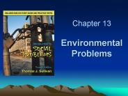 Chapter 13 Environmental Problems