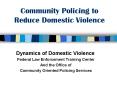 Community Policing to Reduce Domestic Violence PowerPoint PPT Presentation