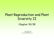 Plant Reproduction and Plant Diversity II