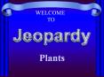 POWERPOINT JEOPARDY PowerPoint PPT Presentation