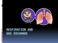 Respiration and Gas exchange PowerPoint PPT Presentation