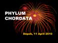 PHYLUM CHORDATA PowerPoint PPT Presentation