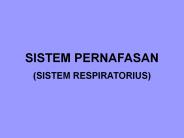 SISTEM PERNAFASAN