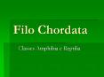 Filo Chordata PowerPoint PPT Presentation