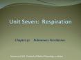 Unit Seven: Respiration PowerPoint PPT Presentation