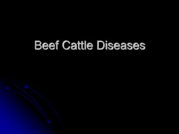 Beef Cattle Diseases