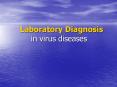Laboratory Diagnosis in virus diseases PowerPoint PPT Presentation