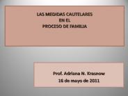 LAS MEDIDAS CAUTELARES EN EL PROCESO DE FAMILIA
