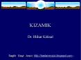 KIZAMIK PowerPoint PPT Presentation