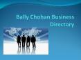 Bally Chohan Business Directory UK PowerPoint PPT Presentation