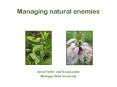 Managing natural enemies PowerPoint PPT Presentation