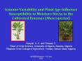 Genome Variability and Plant Age Influence Susceptibility to Moisture Stress in the Cultivated Bananas (Musa species) PowerPoint PPT Presentation
