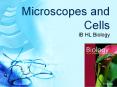 Microscopes and Cells PowerPoint PPT Presentation