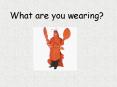 What are you wearing? PowerPoint PPT Presentation