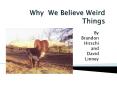 Why We Believe Weird Things PowerPoint PPT Presentation