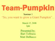 Team-Pumpkin