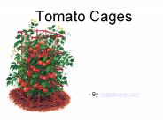 Popularity Of Tomato Cages For Plantation