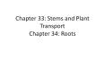 Chapter 33: Stems and Plant Transport Chapter 34: Roots PowerPoint PPT Presentation