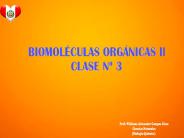 BIOMOLECULAS ORGANICAS II