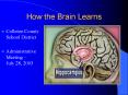 How the Brain Learns PowerPoint PPT Presentation