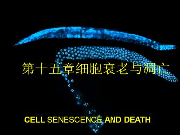 CELL SENESCENCE AND DEATH