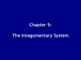 Chapter 5:  The Integumentary System PowerPoint PPT Presentation
