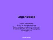 Organizacija