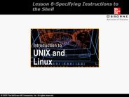 Lesson 8-Specifying Instructions to the Shell