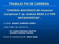 TRABAJO FIN DE CARRERA PowerPoint PPT Presentation