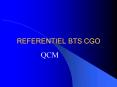 REFERENTIEL BTS CGO PowerPoint PPT Presentation