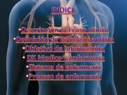 Diapositiva 1