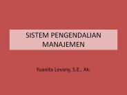 SISTEM PENGENDALIAN MANAJEMEN