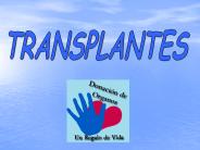 LOS TRANSPLANTES