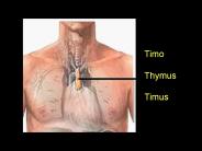 Diapositiva 1