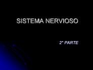 SISTEMA NERVIOSO
